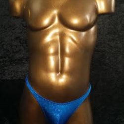 Royal foil posing trunks 29/30 Waist